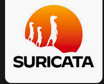 Suricata IDS with Splunk Enterprise